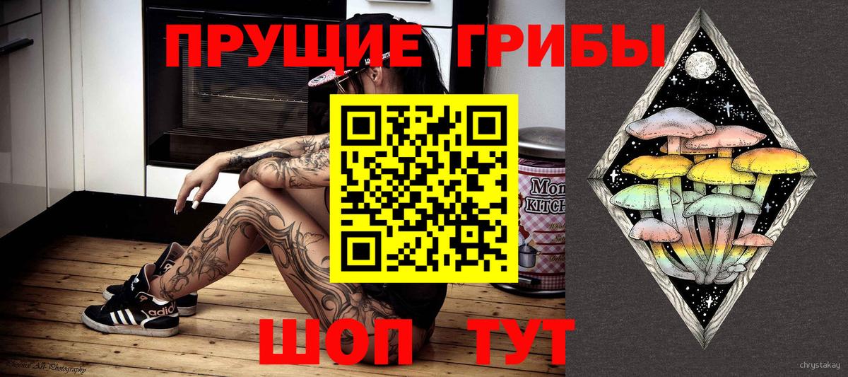 Тара  Галлюциногенные грибы ЛСД  Вход с VPN 