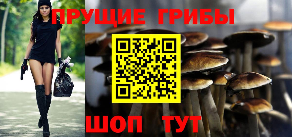 Галлюциногенные грибы Psilocybine cubensis Тара